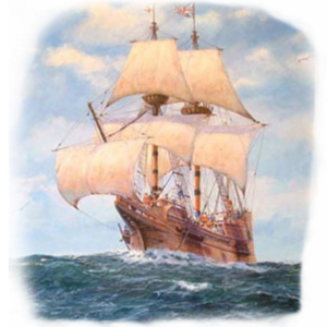 cover image of The Mayflower